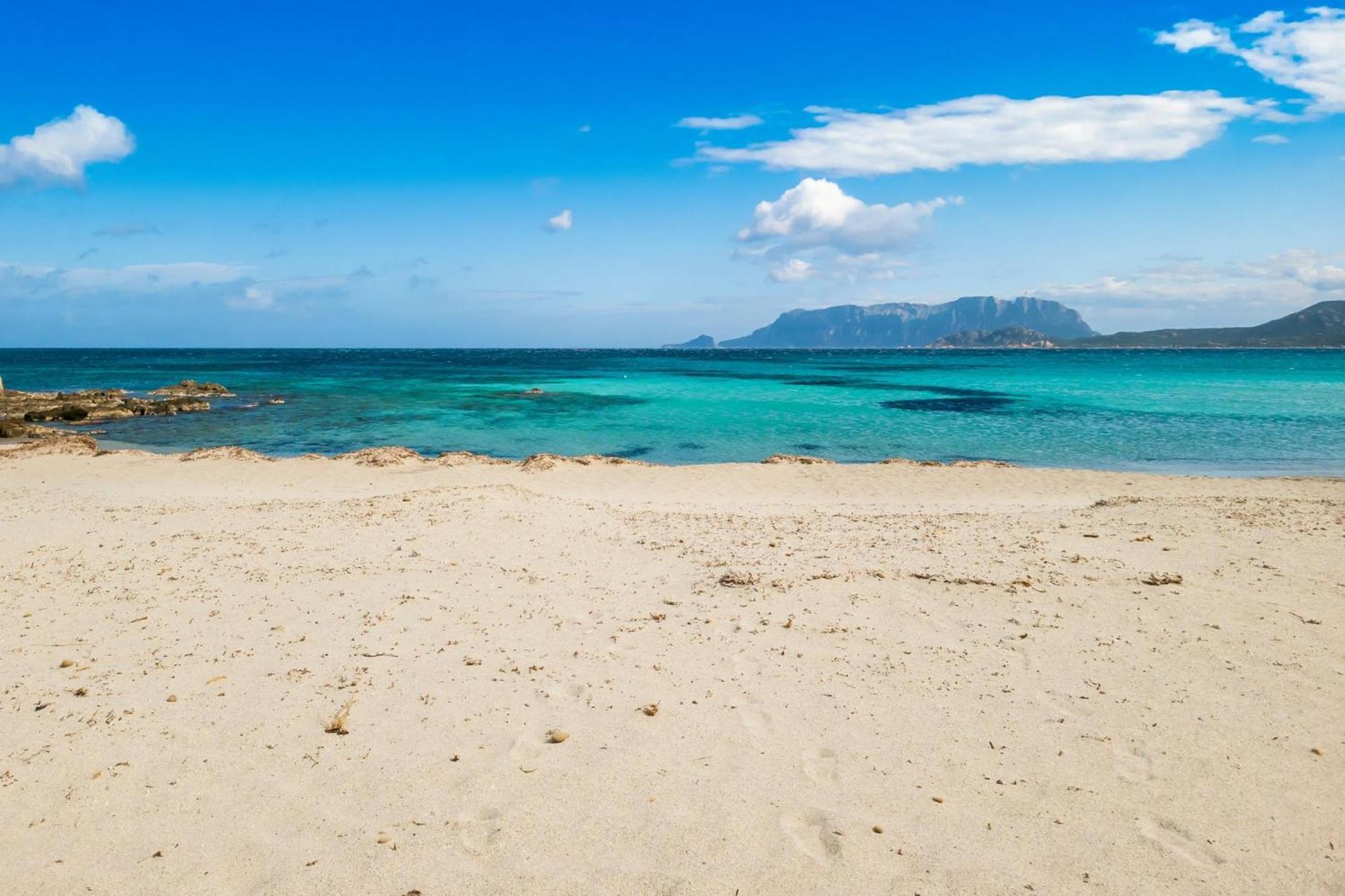Dimora Di Rosy Pittulongu - Happy Rentals Olbia Exterior photo